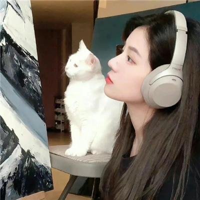 观鸟大年